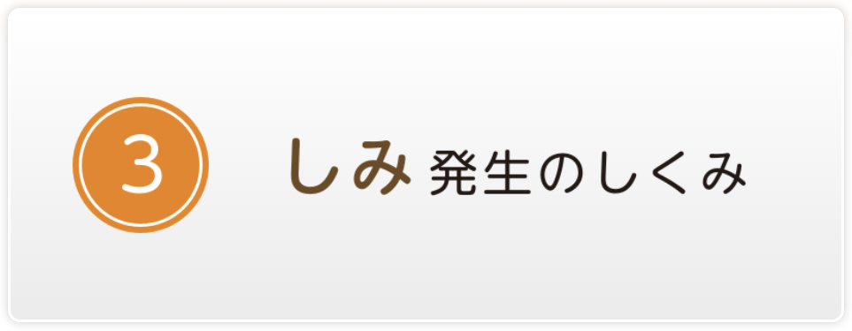 しみ発生のしくみボタン