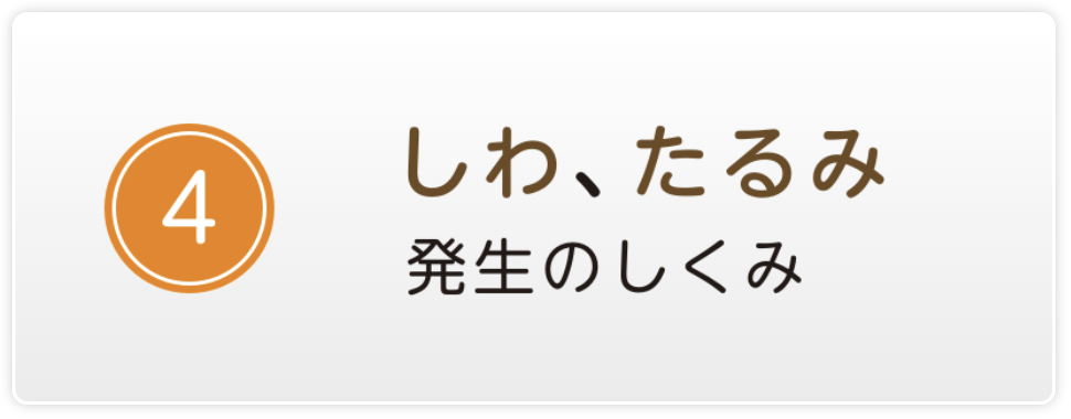 しみ、たるみ発生のしくみボタン