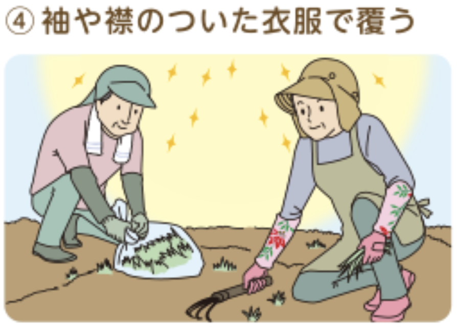 光老化対策
